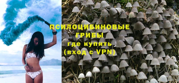PSILOCYBIN Магадан