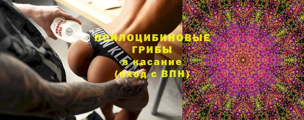 дживик Дмитров