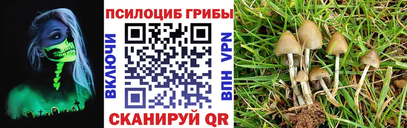 Псилоцибиновые грибы мухоморы  наркошоп  Домодедово 