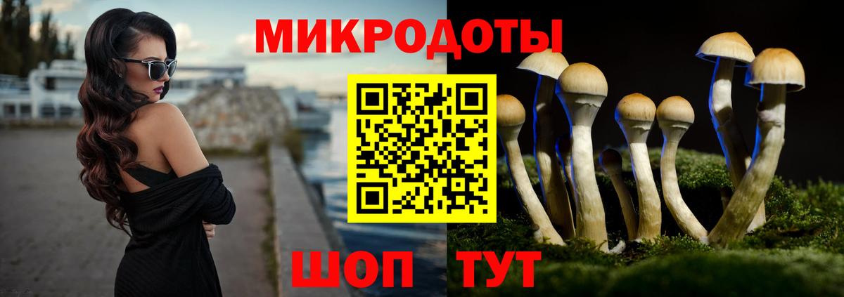 Домодедово  Галлюциногенные грибы Psilocybine cubensis  Вход с VPN 
